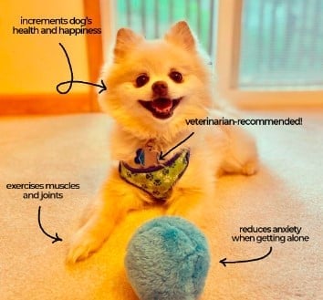 Auto-Movement Anti-Anxiety Active Moving Sphere