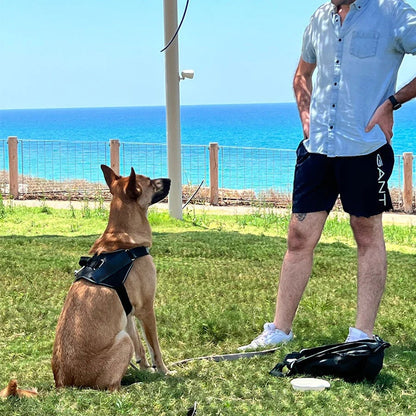Choke Dog Harness