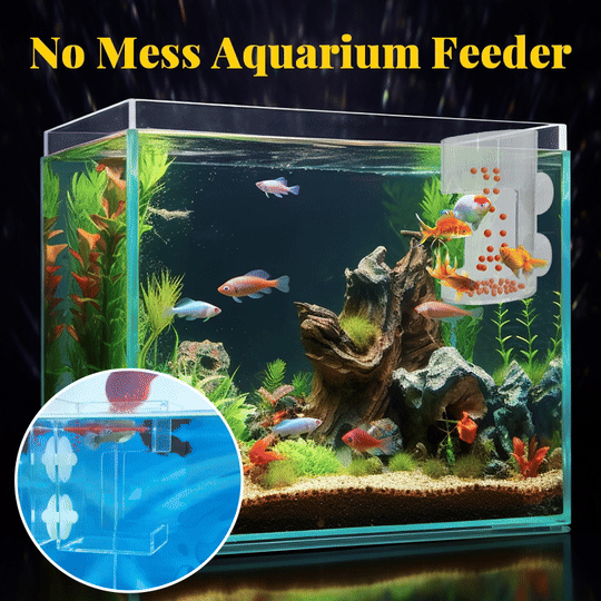 🔥No Mess Aquarium Feeder💥